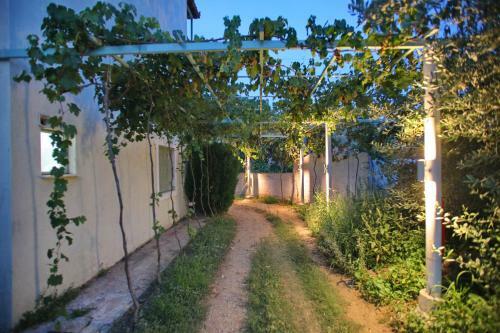 Hostal Pansion Prodromina