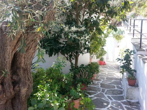 Apartamento Adam's House