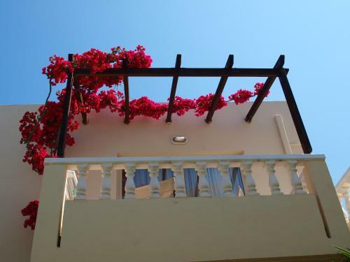 Apartamento Elotis Suites