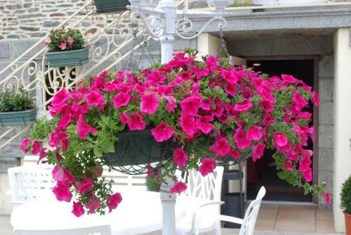 Hotel H�tel Ariane & Spa