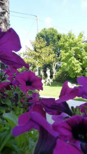 Hotel H�tel Ariane & Spa