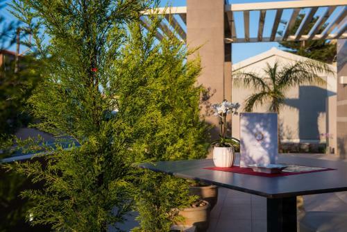 Hotel Oscar Suites & Village