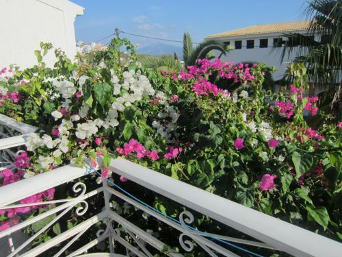 Hostal G. Sandalis Hotel