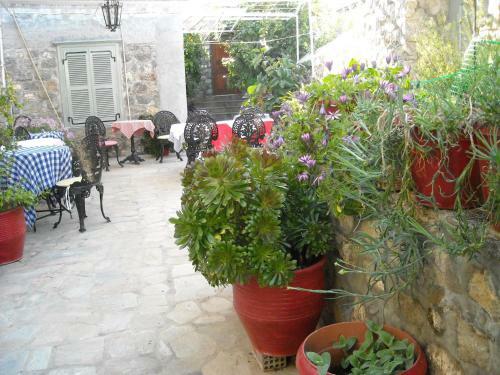 Hostal Theano Guesthouse