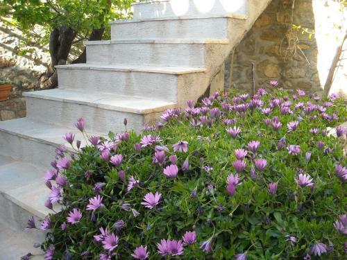 Hostal Theano Guesthouse