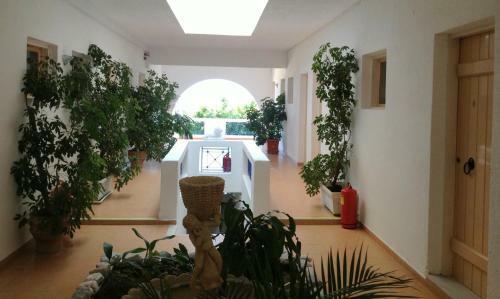 Havania Apartments