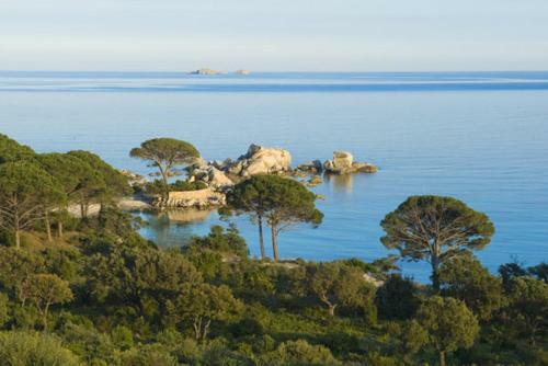 Bed & Breakfast Chambres D'h�tes Littariccia
