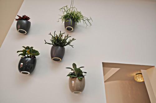 Apartamentos Appartement L'el�gant