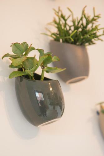 Apartamentos Appartement L'el�gant