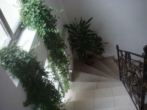 Apartamento Villa Edera Residence