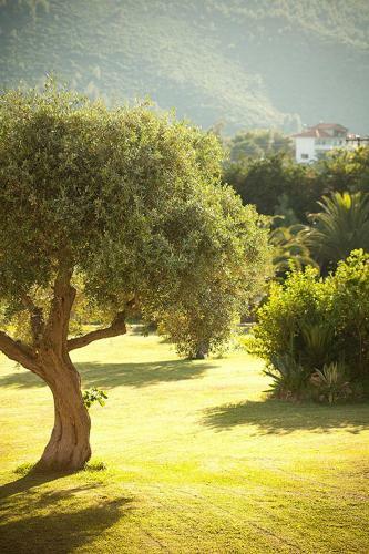 Apartamento Porto Koufo Resort