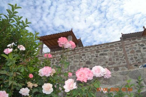 Hostal Villa Molivos Castle