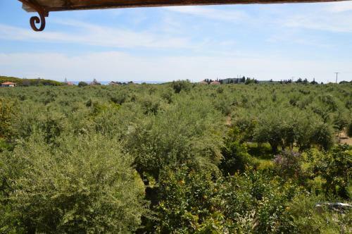 Anemona Apartments And Studios