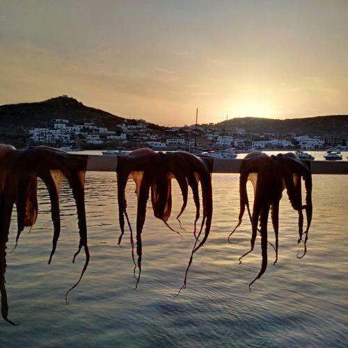 Apartamento Sailinn Mykonos