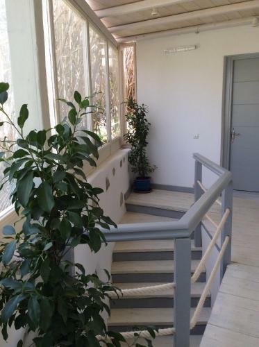 Apartamento Sailinn Mykonos