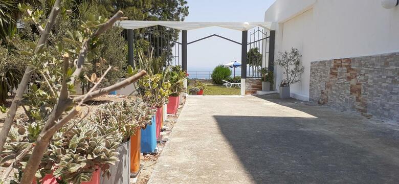 Apartamento Oleander Studios