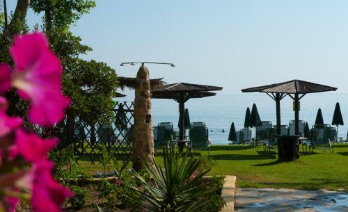 Zarkadis Beach Apartments