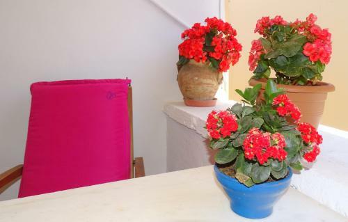 Hostal Anemones Rooms