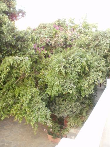 Apartamento Agii Apostoli