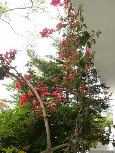 Apartamento Agii Apostoli