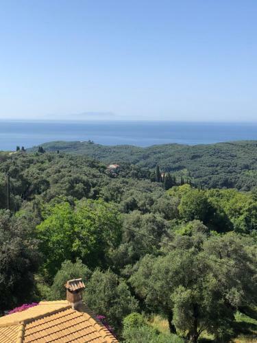 Hostal Spyridonou House