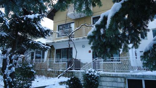 Residencia Hostel Andro