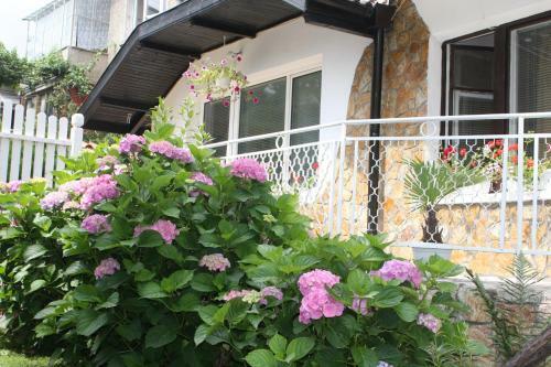 Residencia Hostel Andro