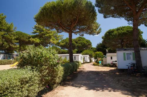 Camping Le Suroit