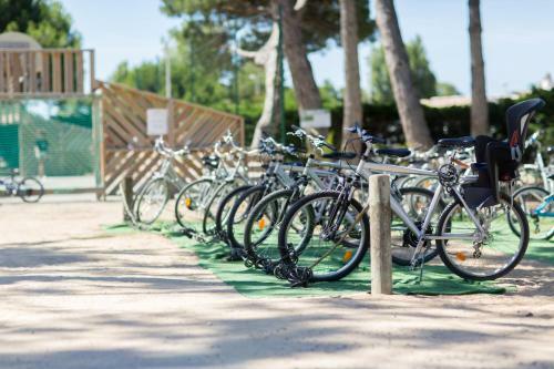 Camping Le Suroit