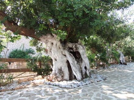 Aparthotel Stone Village Hotel Apartments