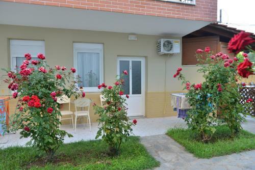 Anna Christina Apartments