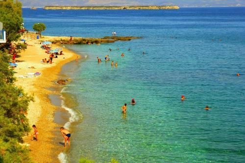 Apartments Tarsa