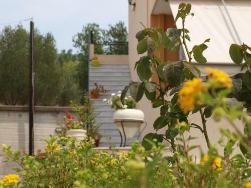Aristotelis Apartments