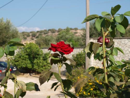 Aristotelis Apartments