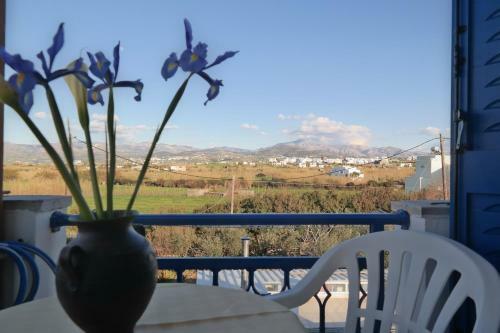 Hostal Mina's Studios In Naxos Island