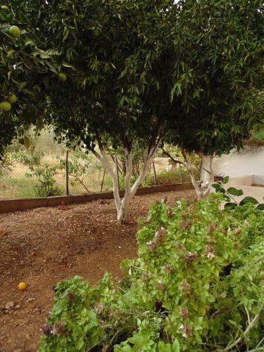 Apartamento Villa Melini