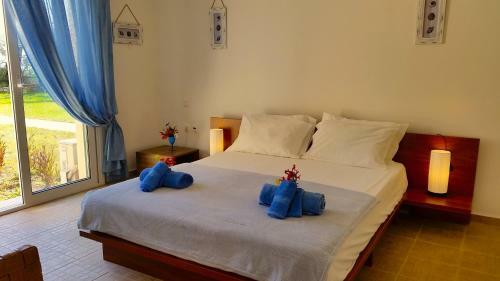 Beachfront Barbati Villas