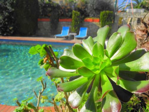 Apartamento Hotel Aeollos