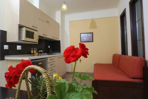 Apartamento Hotel Aeollos
