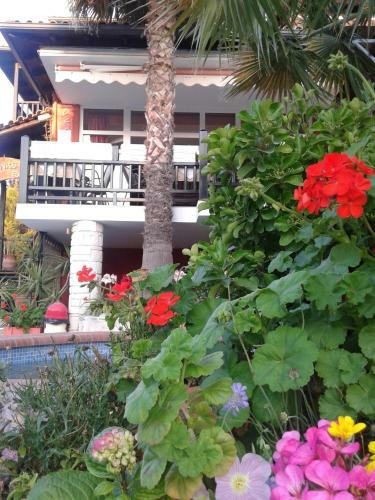 Apartamento Hotel Aeollos
