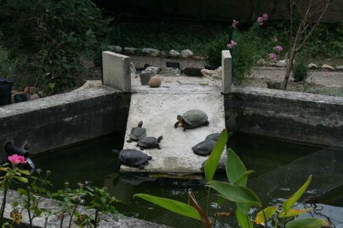 Bed & Breakfast L'annexe Du Ch�teau