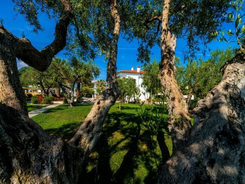 Hotel Flegra Palace