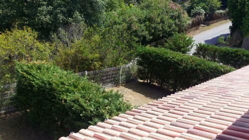 Apartamento Isula Bianca