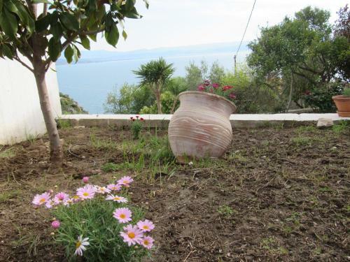 Apartamento Kalypso Guesthouses