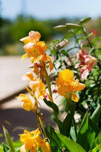 Bed & Breakfast I Casilari