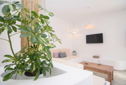 Apartamento Muses