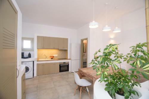 Apartamento Muses