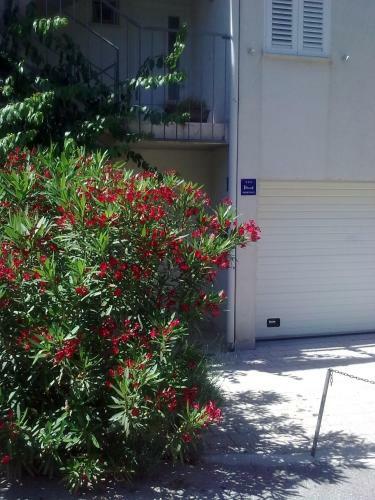 Apartment Pamic