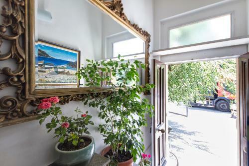Bed & Breakfast Affittacamere Zahra
