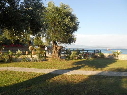 Barbati Beach Holiday Apartment